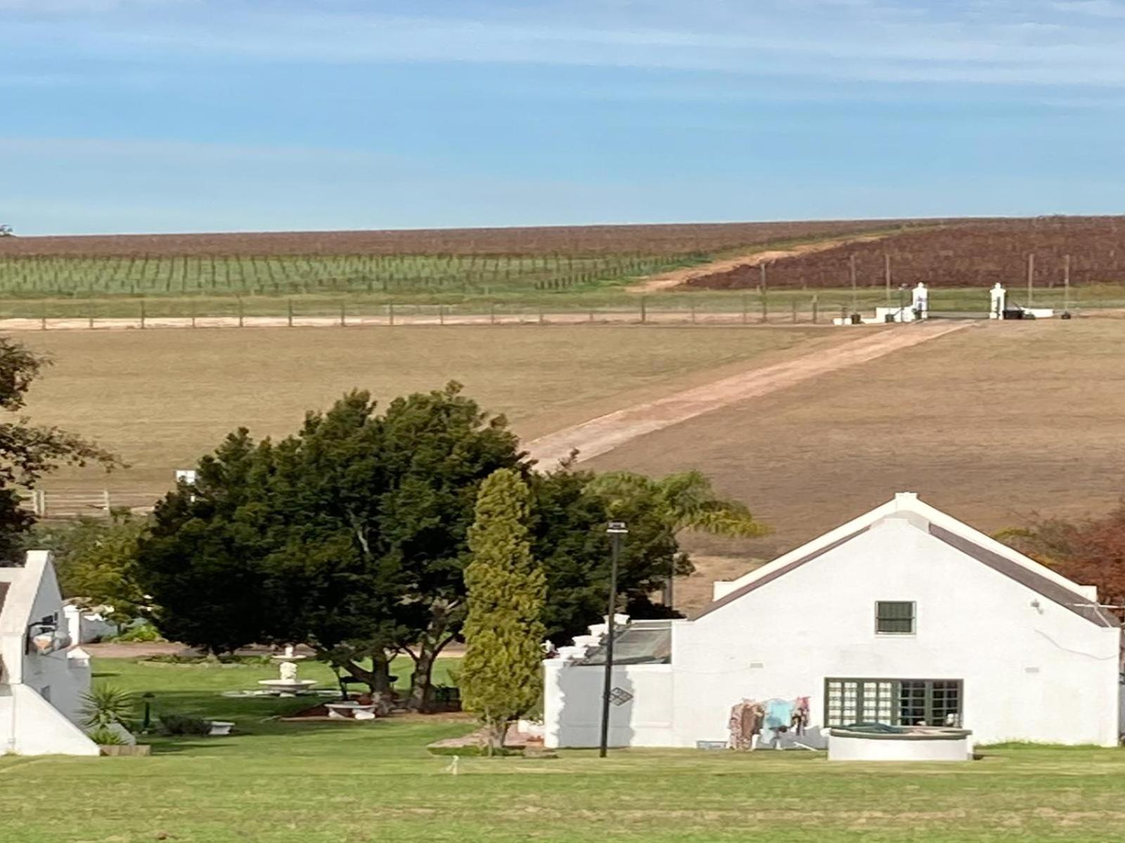 Nassau Guest Farm 호텔 스텔렌보스 외부 사진